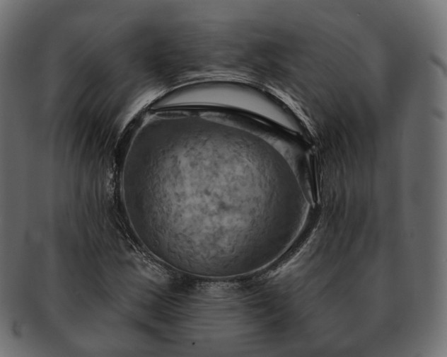 X0000093221163200710031434