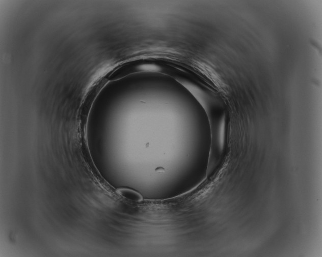 X0000093221164200710031434