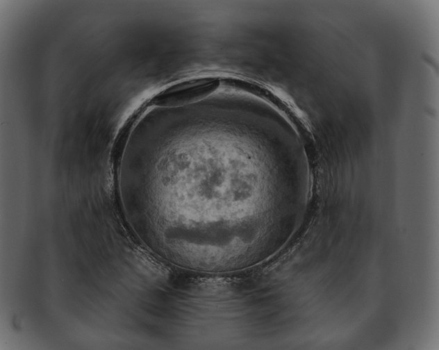 X0000093221167200710031434