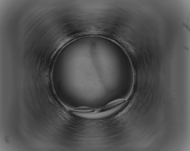 X0000093221170200710031434