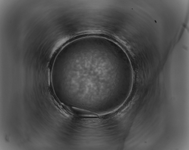 X0000093221171200710031434