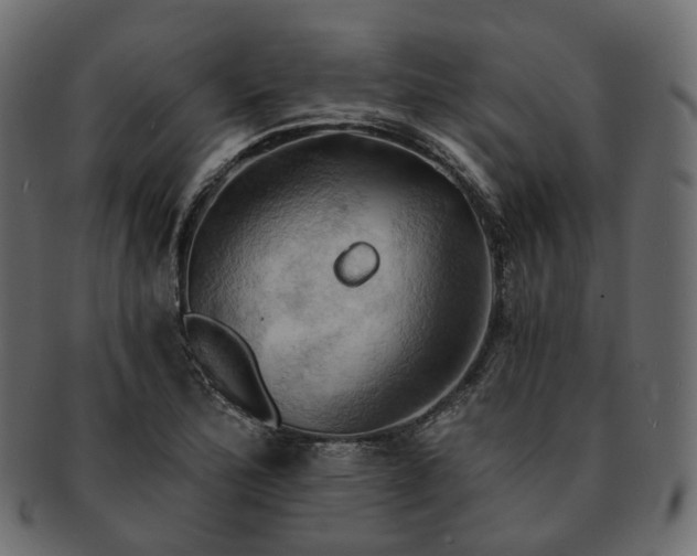 X0000093221172200710031434