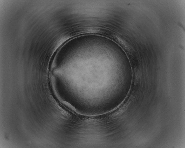 X0000093221178200710031434