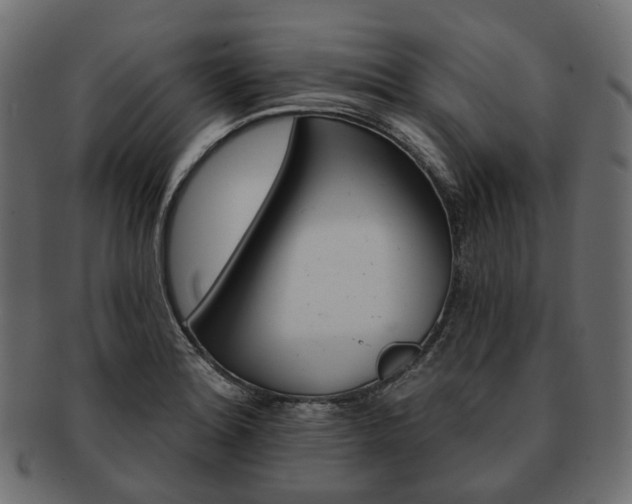 X0000093221180200710031434