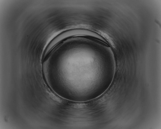 X0000093221184200710031434