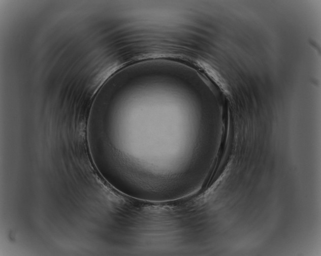 X0000093221185200710031434