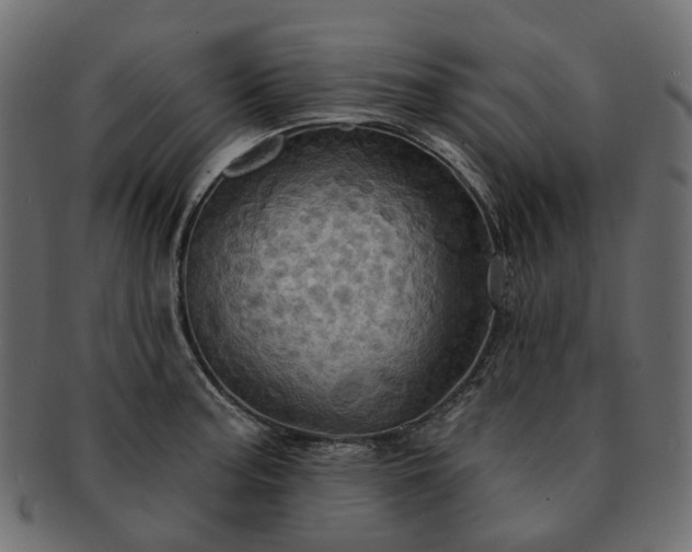 X0000093221187200710031434