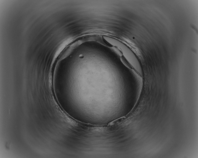 X0000093221188200710031434