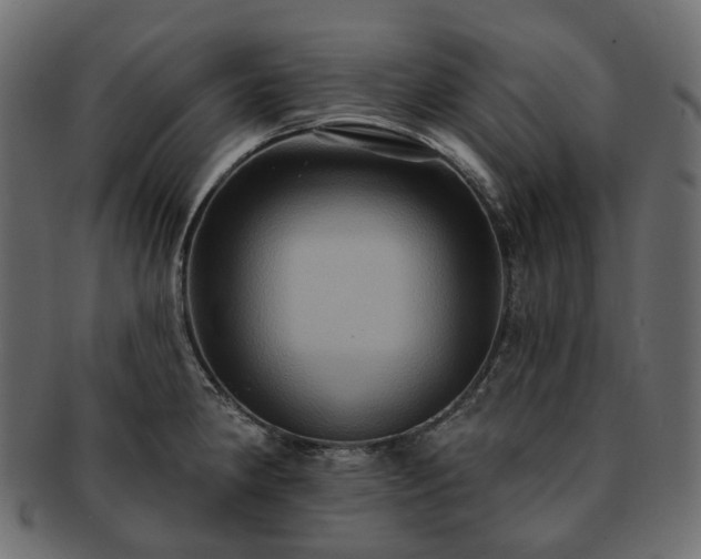 X0000093221190200710031434