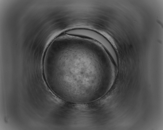 X0000093221191200710031434