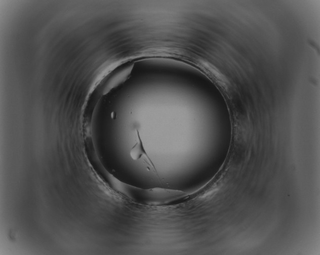 X0000093221192200710031433