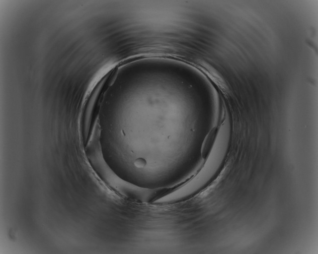 X0000093221196200710031433