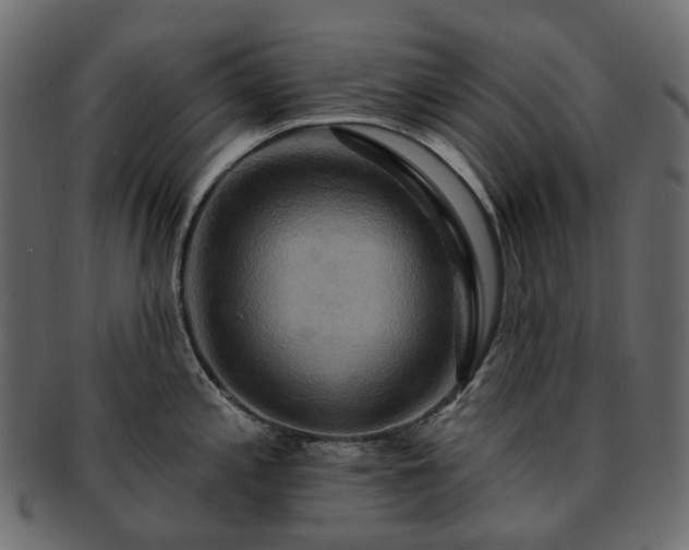 X0000093221197200710031433