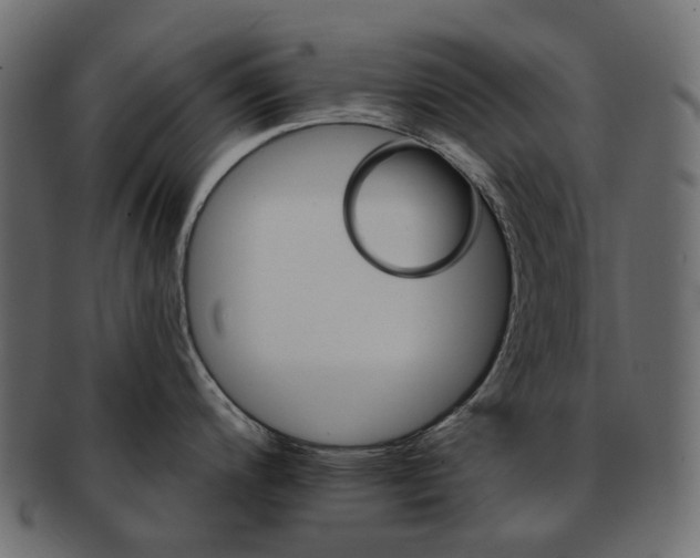 X0000093221200200710031433