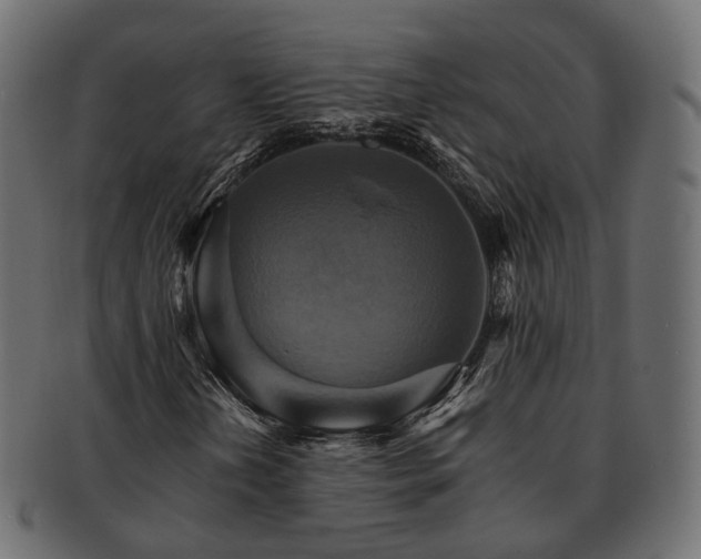 X0000093221202200710031433