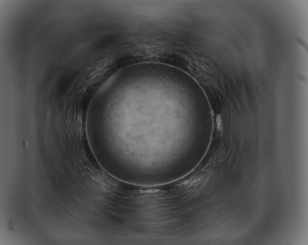 X0000093221203200710031433