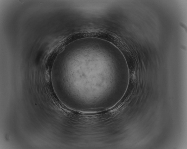 X0000093221204200710031433