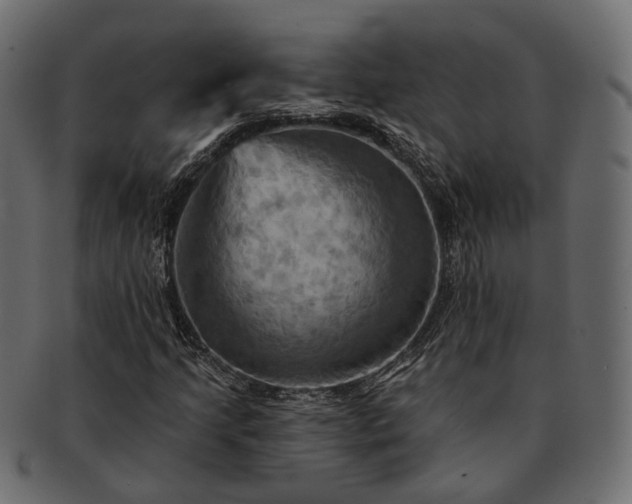 X0000093221205200710031433