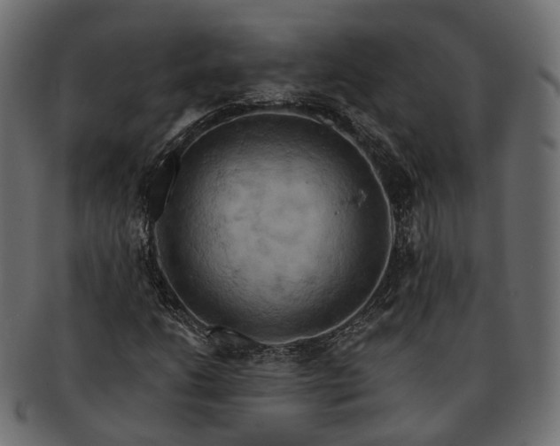 X0000093221206200710031433