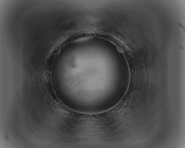 X0000093221207200710031433