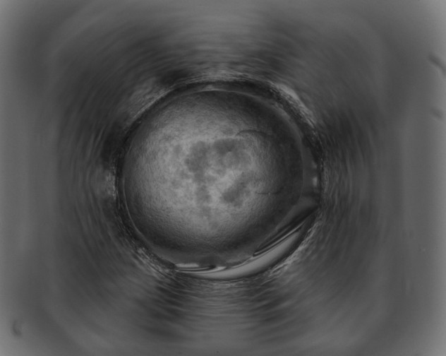 X0000093221209200710031433