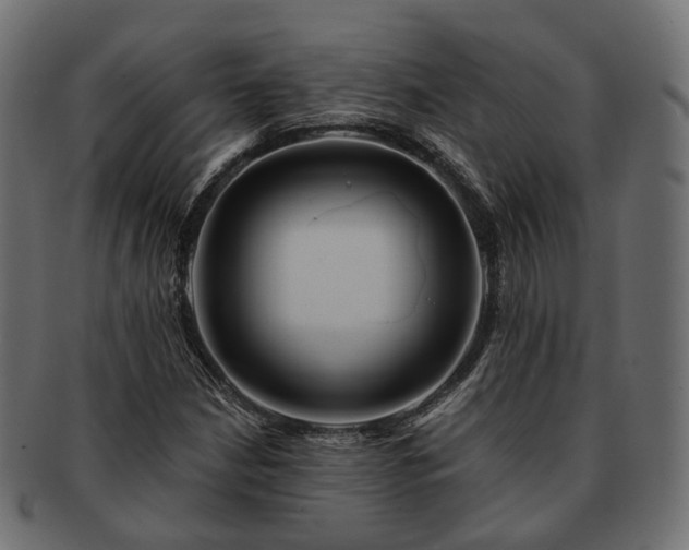 X0000093221210200710031433