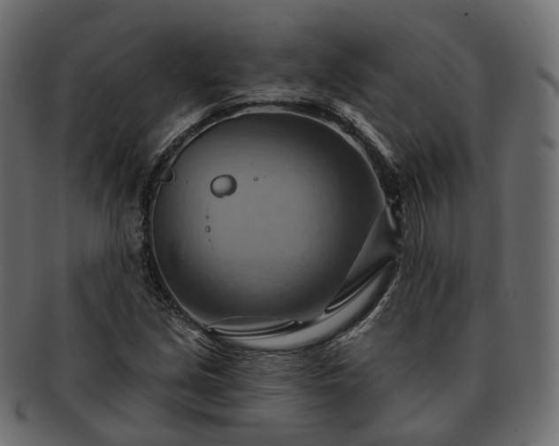 X0000093221213200710031433