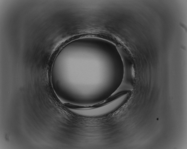 X0000093221214200710031433