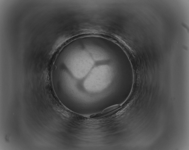 X0000093221215200710031433