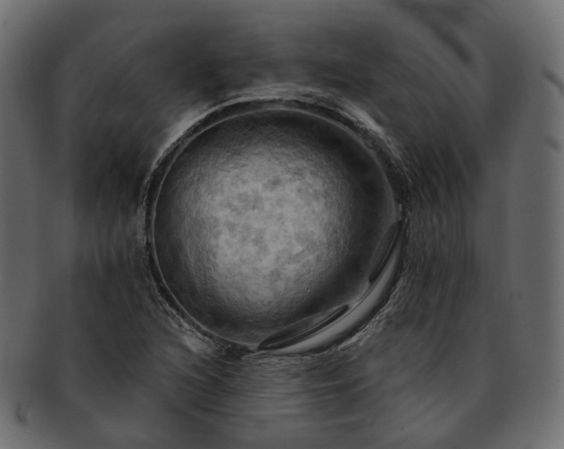 X0000093221216200710031433