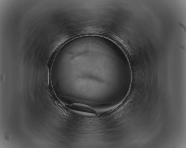 X0000093221219200710031433