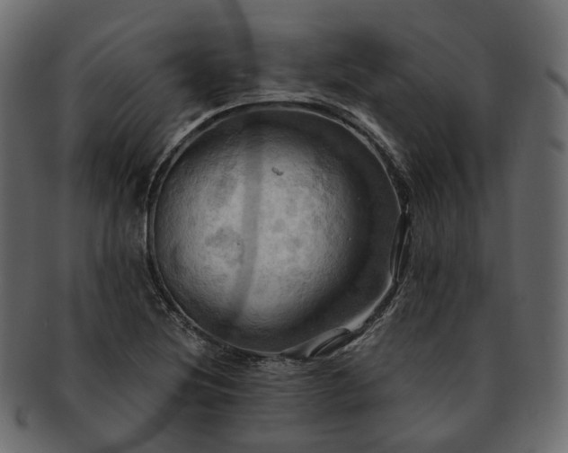 X0000093221220200710031433