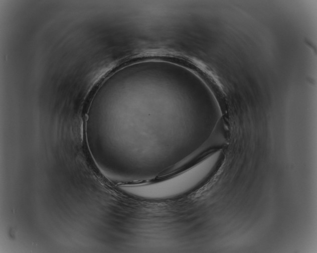 X0000093221221200710031433