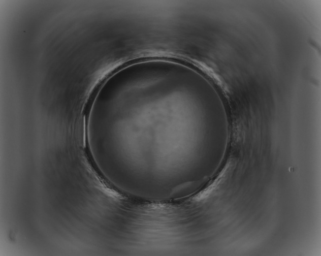 X0000093221223200710031433