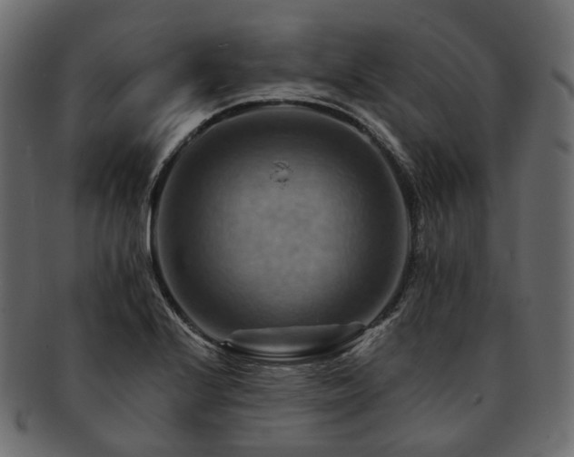 X0000093221224200710031433