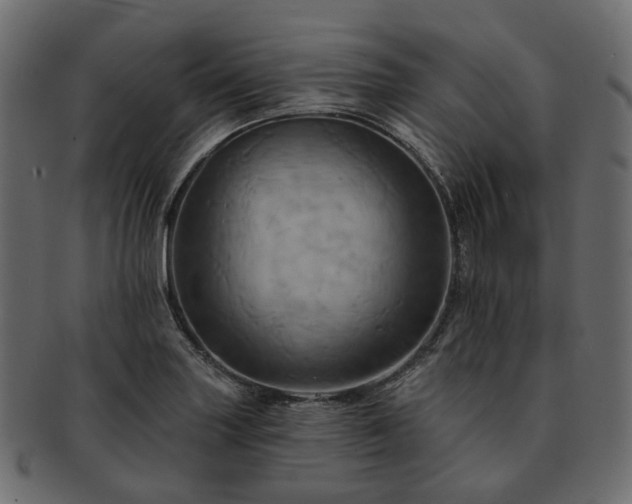 X0000093221227200710031433