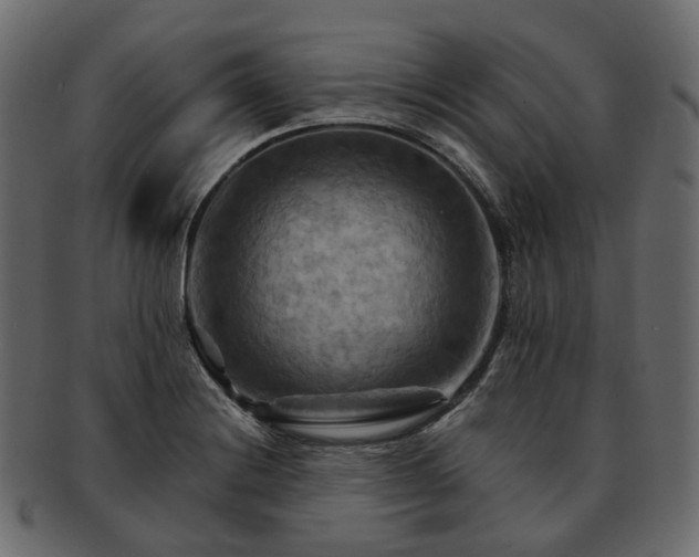 X0000093221228200710031433