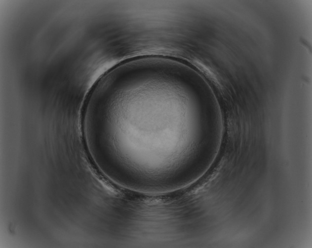 X0000093221230200710031433