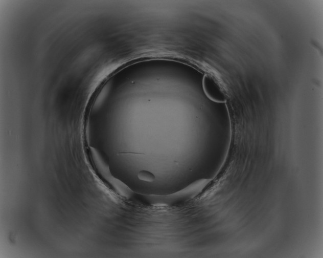 X0000093221231200710031433