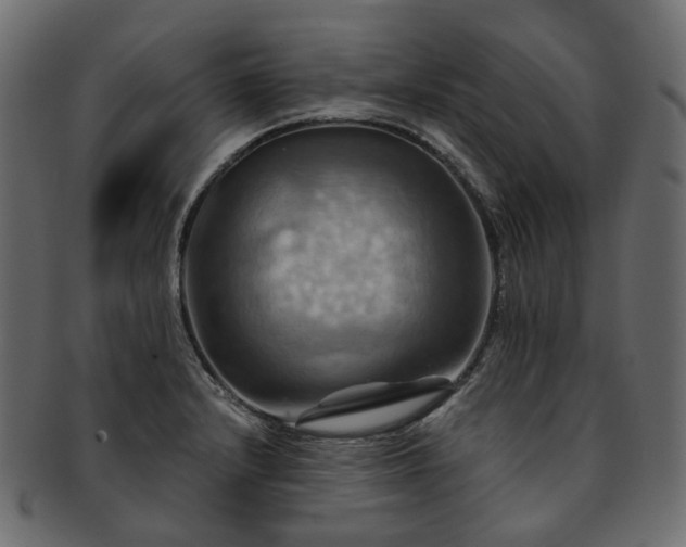 X0000093221232200710031433