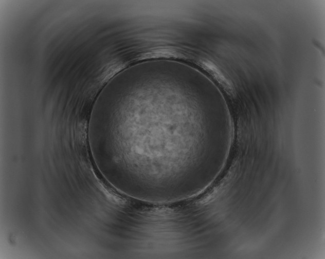 X0000093221233200710031433