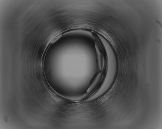 X0000093221234200710031433