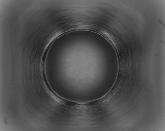 X0000093221235200710031433