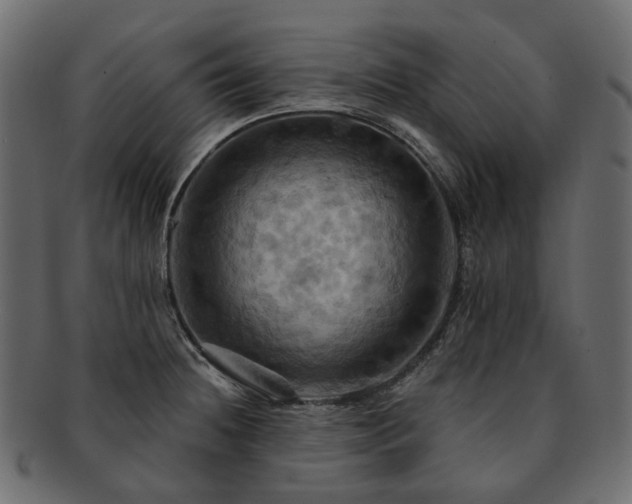 X0000093221236200710031433