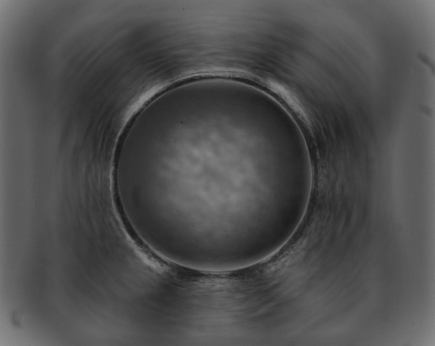 X0000093221237200710031433