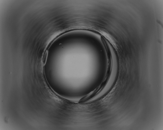 X0000093221238200710031433