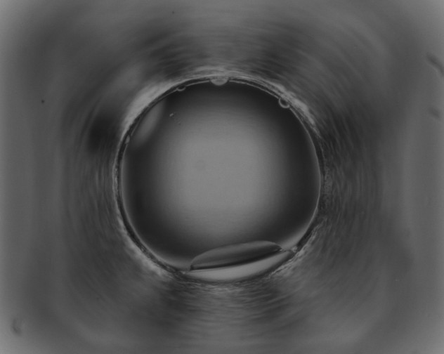 X0000093221239200710031433