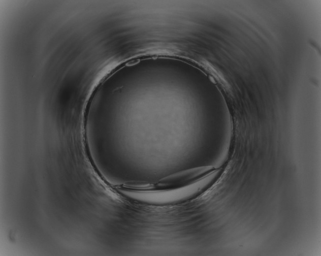 X0000093221240200710031433