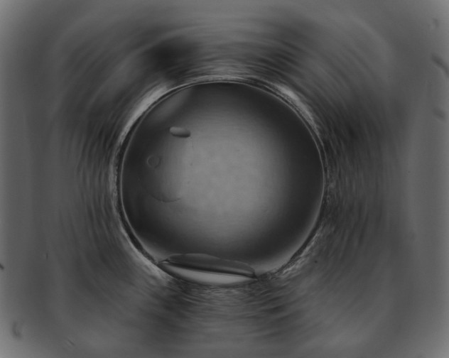 X0000093221243200710031433