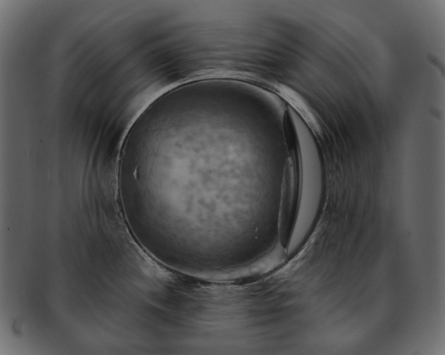 X0000093221244200710031433